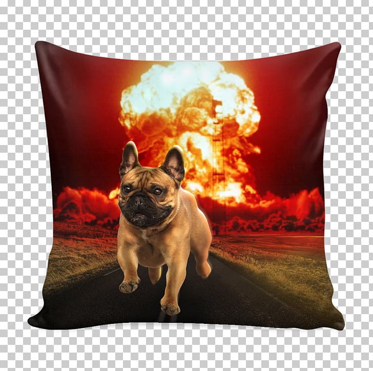 Nuclear Weapon United States Deepwater Horizon Oil Spill Swan Song Bomb PNG, Clipart, Bomb, Book, Carnivoran, Cushion, Deepwater Horizon Oil Spill Free PNG Download