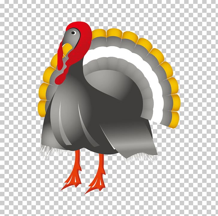 Turkey Wedding Invitation Thanksgiving PNG, Clipart, Beak, Bird, Cartoon, Chicken, Encapsulated Postscript Free PNG Download