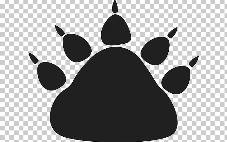 American Black Bear Brown Bear Paw PNG, Clipart, American Black Bear, Bear, Black, Black And White, Black Bear Images Free Free PNG Download