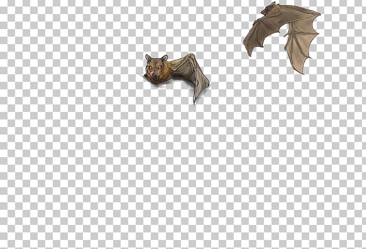 Bat-eared Fox Lion Striped Hyena PNG, Clipart,  Free PNG Download