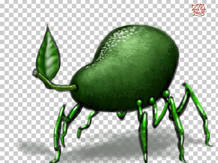 Drawing Avocado Beetle PNG, Clipart, Animal, Art, Arthropod, Artist, Avocado Free PNG Download