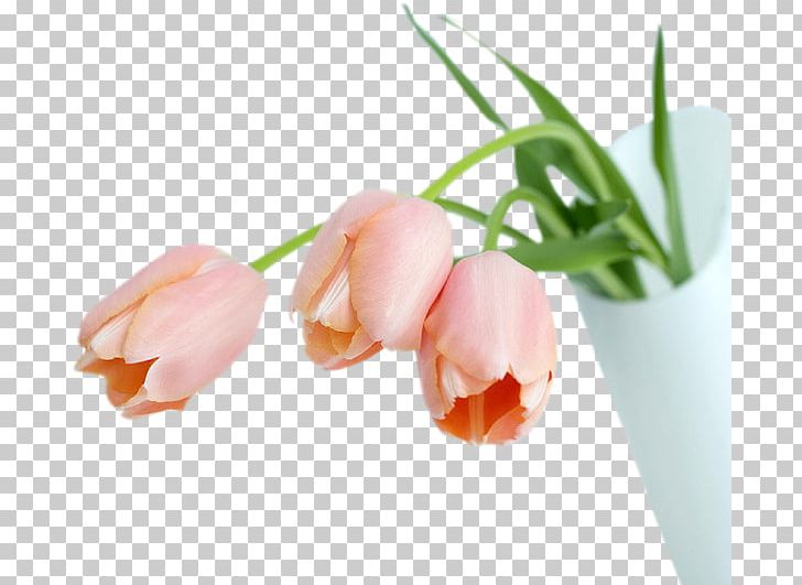 Flower Desktop UXGA Birthday PNG, Clipart, 720p, Birthday, Cut Flowers, Desktop Wallpaper, Flower Free PNG Download