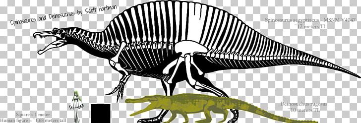 Spinosaurus Shantungosaurus Carcharodontosaurus Tyrannosaurus Deinosuchus PNG, Clipart, Animal Figure, Ankylosaurus, Black And White, Carcharodontosaurus, Deinosuchus Free PNG Download