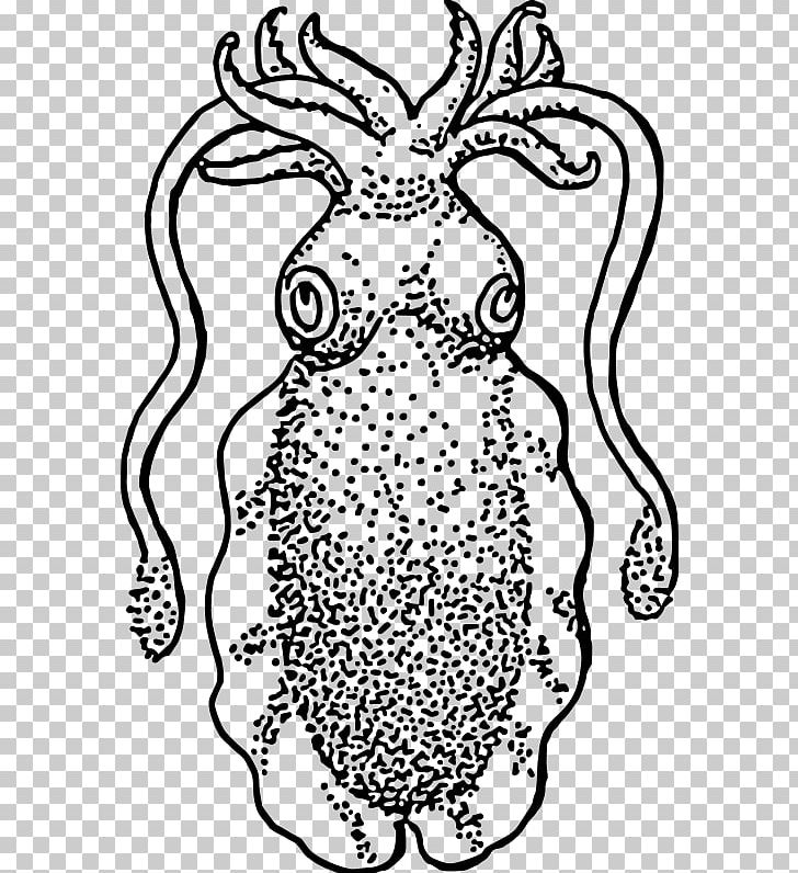 Squid Cuttlefish Drawing PNG, Clipart, Animal, Black, Carnivoran, Fictional Character, Flower Free PNG Download