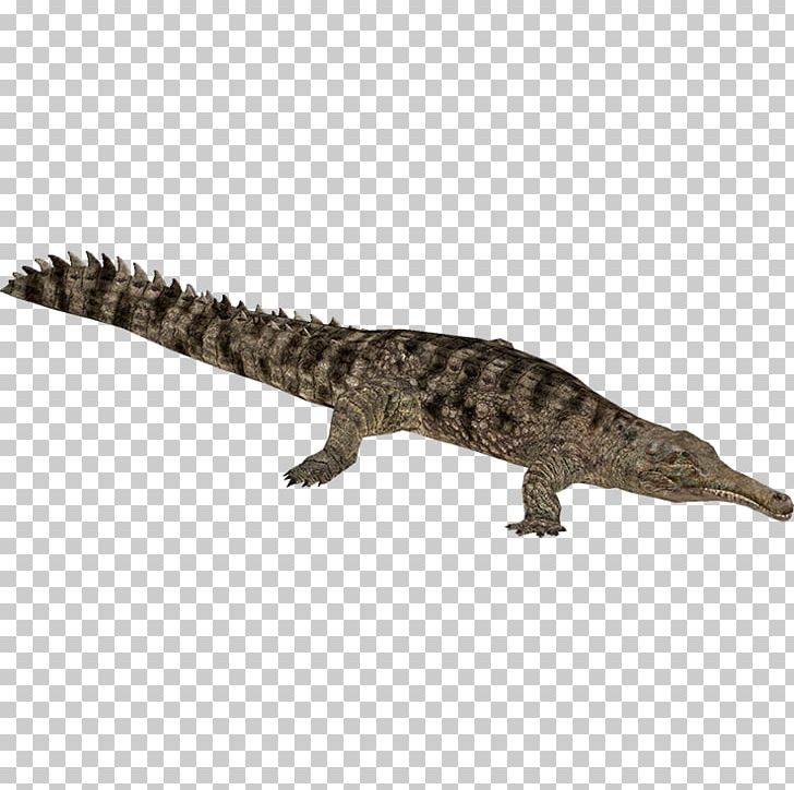 Crocodile False Gharial Alligator Gavialidae PNG, Clipart, Animal Figure, Animals, Black Caiman, Chameleon, Crocodile Free PNG Download