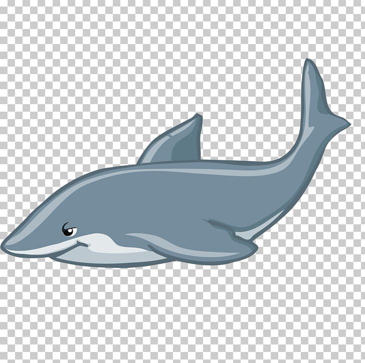 Dolphin Whale PNG, Clipart, Animals, Cartoon, Dolphin, Dolphins, Download Free PNG Download