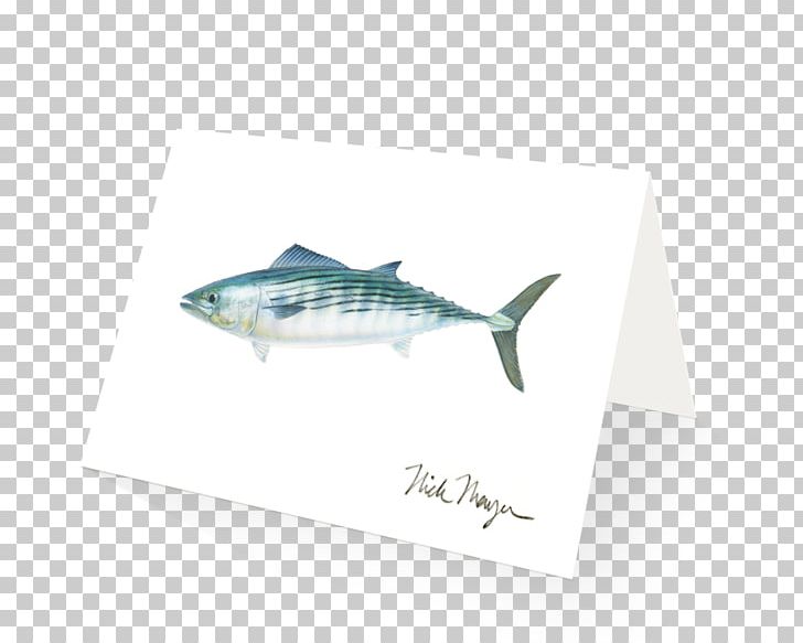 Lobster Bluefish Chesapeake Blue Crab California Sheephead PNG, Clipart, Animals, Bluefish, Blue Mussel, Bowers Wilkins, Brand Free PNG Download