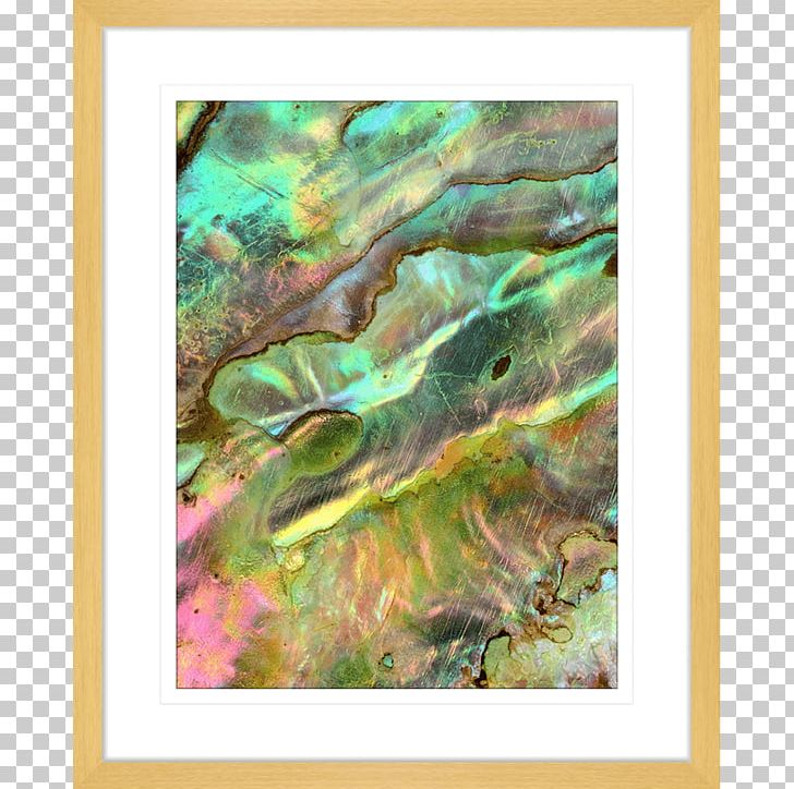 Pāua Haliotis Iris Red Abalone Nacre Seashell PNG, Clipart, Abalone, Art, Artwork, Frame, Information Free PNG Download