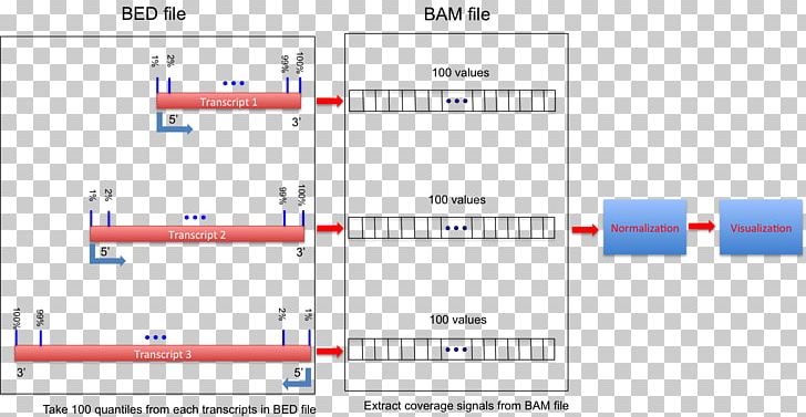 RNA-Seq Nucleotide Gene Intron PNG, Clipart, Angle, Area, Binary, Brand, Computer Program Free PNG Download