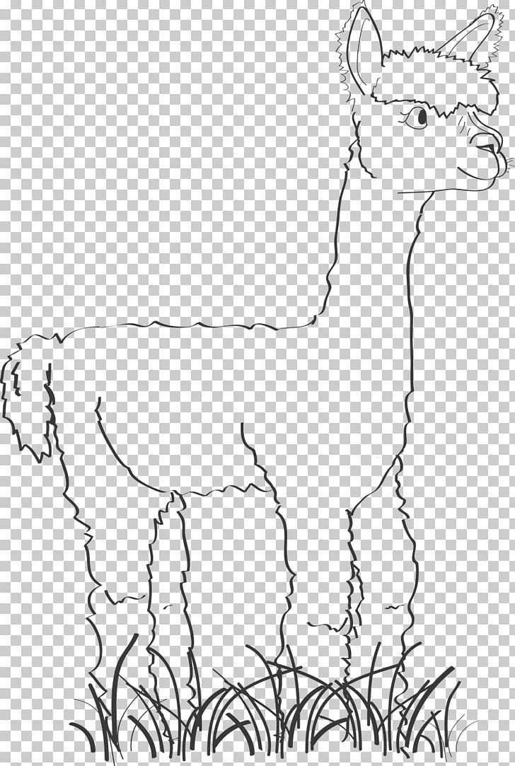 Alpaca Llama Drawing Line Art PNG, Clipart, Alpaca, Animal Figure, Beak, Black And White, Camel Free PNG Download