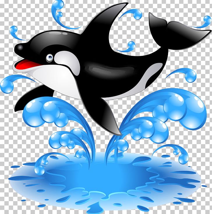 Baby Orca Killer Whale Dolphin PNG, Clipart, Amazon River Dolphin, Animals, Baby, Baby Orca, Beak Free PNG Download
