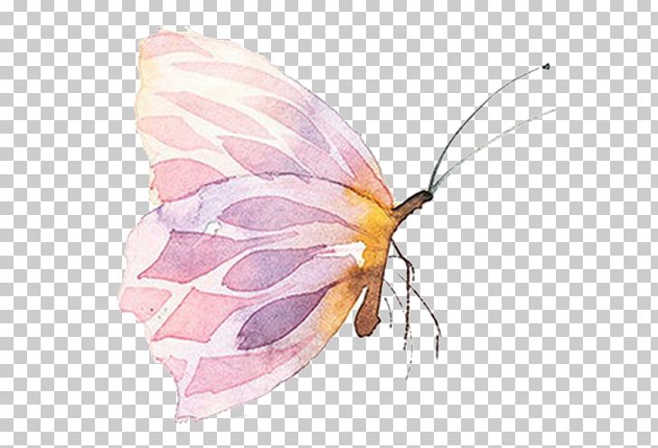 Butterfly Watercolor Painting PNG, Clipart, Animal, Biological, Biological Material, Butterflies, Cmyk Color Model Free PNG Download