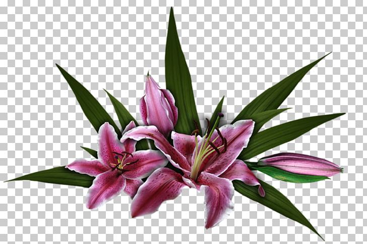 Cut Flowers Rose الرحمن Plant God PNG, Clipart, Ar Rahiim, Assalamu Alaykum, Basmala, Cut Flowers, Flower Free PNG Download