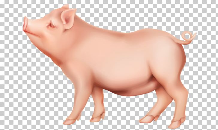Domestic Pig PNG, Clipart, Animals, Computer Icons, Domestic Pig, Image File Formats, Iphone Free PNG Download