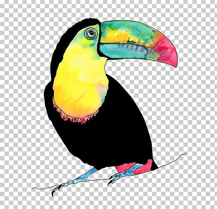 Lovebird Parrot Toucan Illustration PNG, Clipart, Animal, Animals, Art, Beak, Bird Free PNG Download