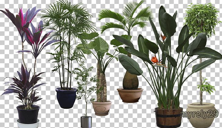 Houseplant El Arte De Enamorar Flowerpot Tree PNG, Clipart, Arboles, Arecaceae, Arecales, Arte, Autodesk 3ds Max Free PNG Download