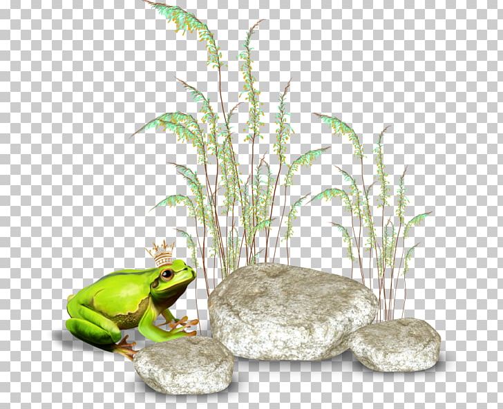 Animals Grass Stone Age PNG, Clipart, Amphibian, Animals, Animation, Big Stone, Centerblog Free PNG Download