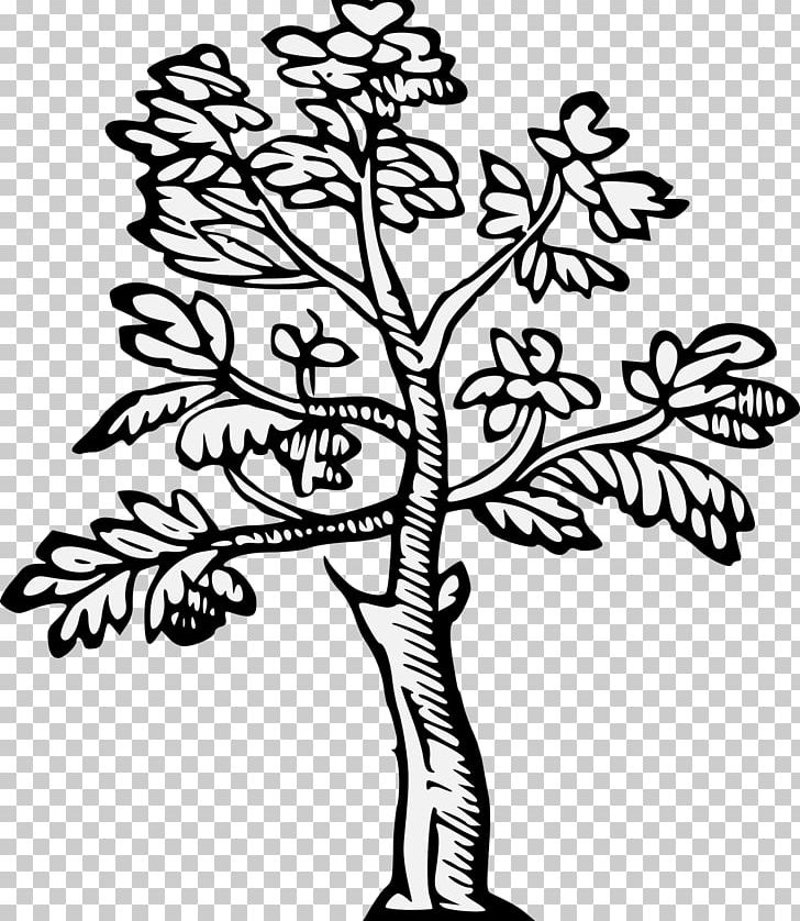 Workes Of Armorie: Deuyded Into Three Bookes PNG, Clipart, Area, Art, Artist, Black And White, Branch Free PNG Download