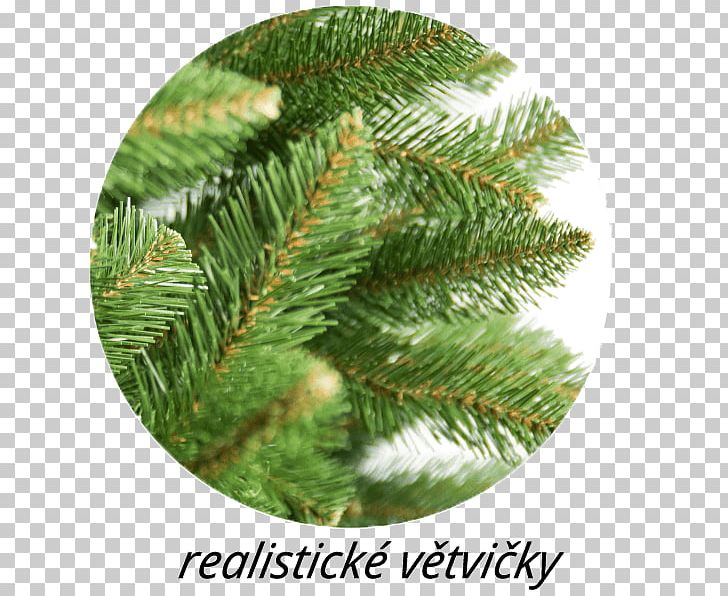 Spruce Christmas Ornament Christmas Day Biome PNG, Clipart, Biome, Branch, Christmas Day, Christmas Ornament, Congresswoman Vicky Hartzler Free PNG Download