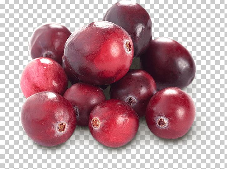 Cranberry Juice Fruit Blueberry PNG, Clipart, Auglis, Avocado, Berry, Blueberry, Cherry Free PNG Download