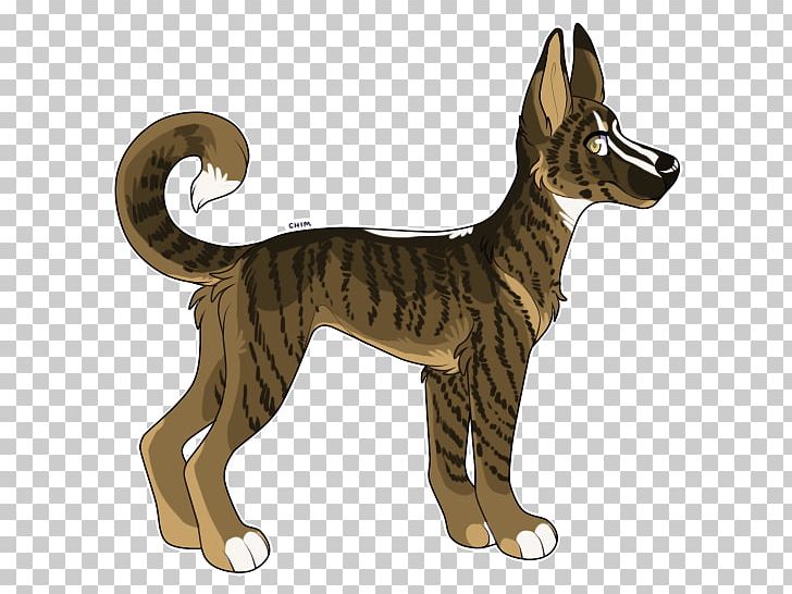 Dog Breed Cat Tail PNG, Clipart, Animals, Breed, Carnivoran, Cat, Cat Like Mammal Free PNG Download