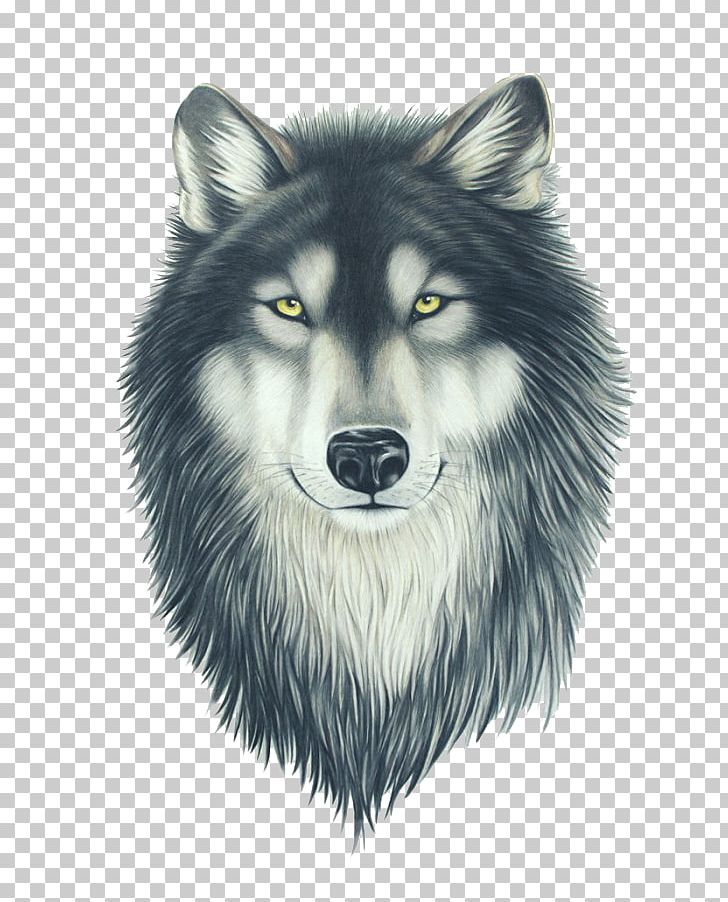 Drawing Pit Bull Painting Wolfdog PNG, Clipart, Black And White, Black Wolf, Canis Lupus Tundrarum, Carnivoran, Color Free PNG Download