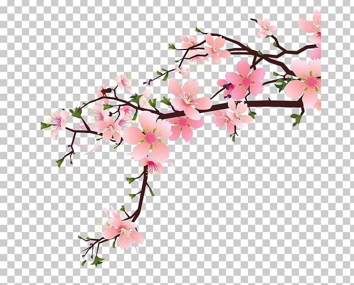 Peach PNG, Clipart, Azalea, Blossom, Branch, Cherry Blossom, Cut Flowers Free PNG Download
