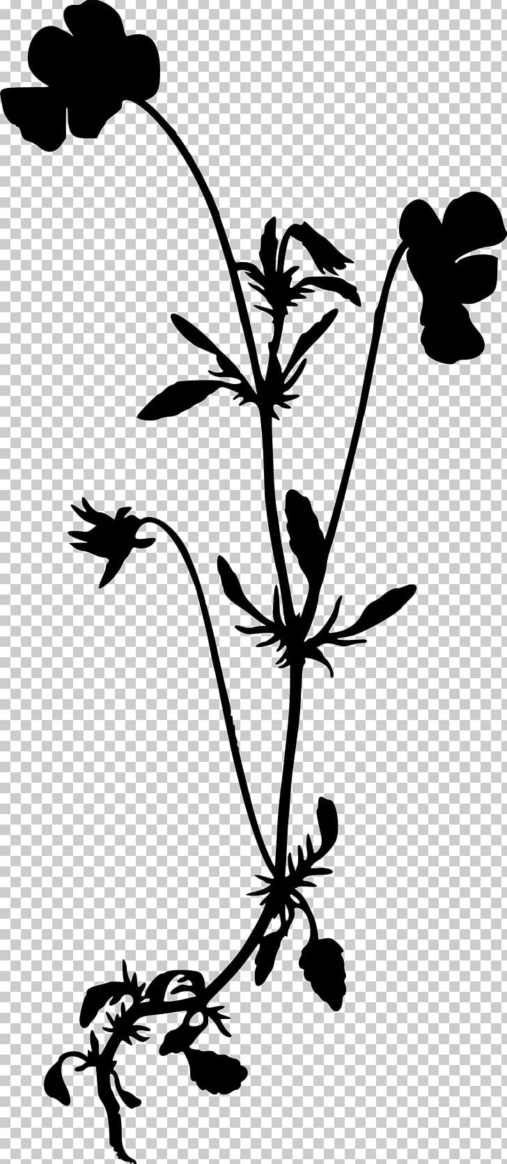 Wildflower Drawing Silhouette PNG, Clipart, Animals, Artwork, Black And White, Branch, Computer Icons Free PNG Download