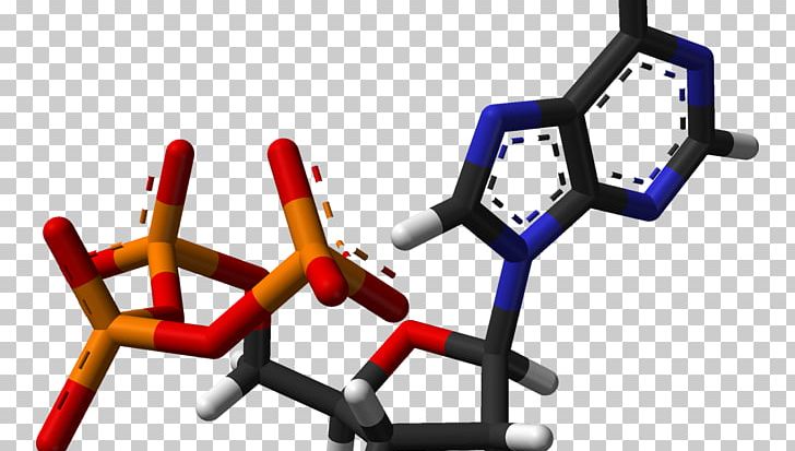 Adenosine Triphosphate Nicotinamide Adenine Dinucleotide PNG, Clipart, Adenine, Adenosine, Adenosine Diphosphate, Adenosine Monophosphate, Adenosine Triphosphate Free PNG Download