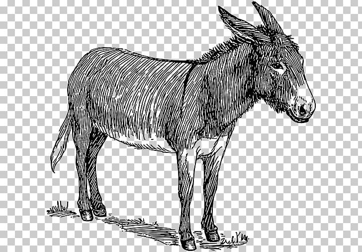 Donkey Drawing Line Art Sketch PNG, Clipart, Animal, Animals, Art, Black And White, Donkey Free PNG Download