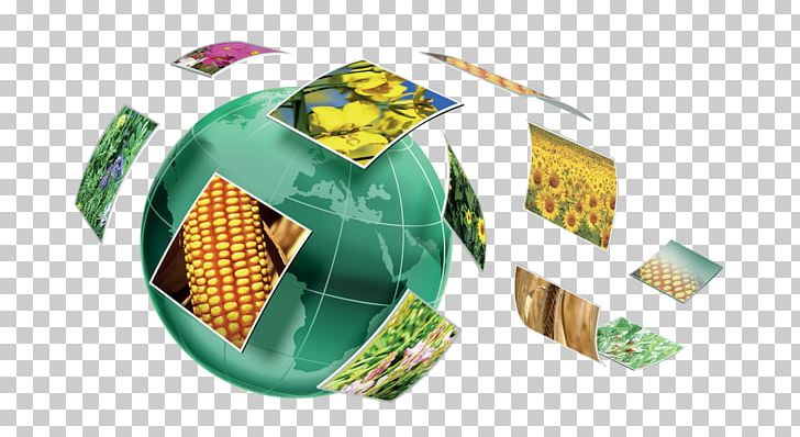 CAUSSADE Semences Office Kyrhyzka Street Agriculture Sowing PNG, Clipart, Agriculture, Benih, Brand, Farmer, Maize Free PNG Download