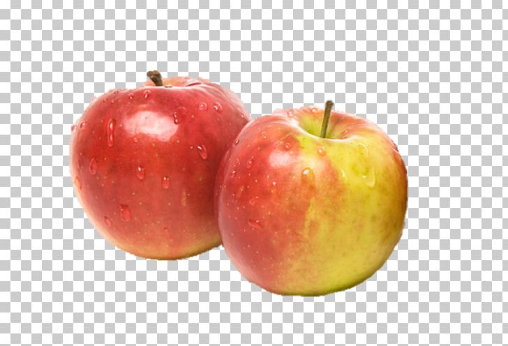 McIntosh Jonagold Apple Elstar Belle De Boskoop PNG, Clipart, Accessory Fruit, Apple, Baking, Belle De Boskoop, Diet Food Free PNG Download