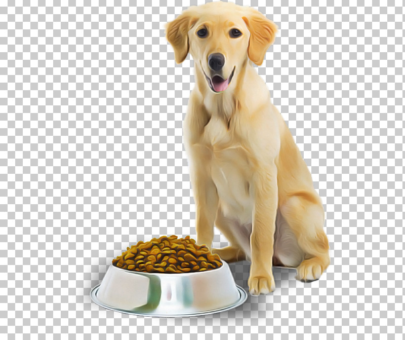 Dog Food PNG, Clipart, Dog, Dog Food, Golden Retriever, Pet Food, Puppy Free PNG Download