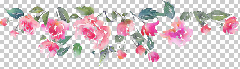 Floral Design PNG, Clipart, Biology, Cut Flowers, Flora, Floral Design, Flower Free PNG Download