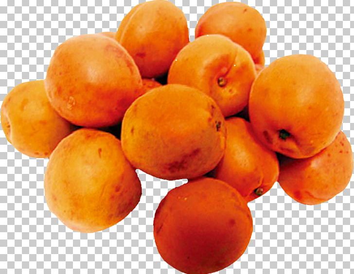 Apricot Fruit Food Vegetarian Cuisine PNG, Clipart, Apricot, Apricot Blossom Vector, Apricot Blossom Yellow, Apricot Flower, Apricots Free PNG Download