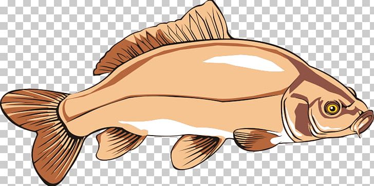 Catfish Common Carp Carp Fishing PNG, Clipart, Animal Figure, Bony Fish, Carp, Carp Fishing, Catfish Free PNG Download