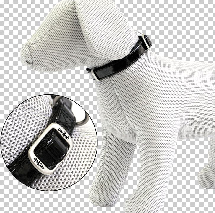 Dog Collar Dog Collar Leash Millimeter PNG, Clipart, Animals, Centimeter, Collar, Dog, Dog Collar Free PNG Download