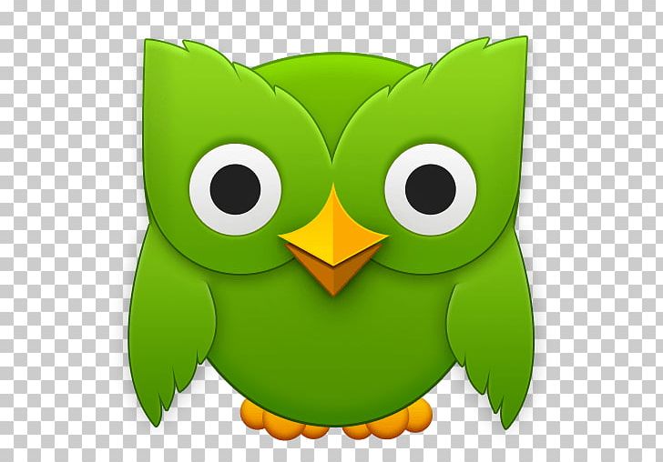 Duolingo Foreign Language Learning Language Acquisition PNG, Clipart, Bird, Duolingo, English, Fictional Character, Fluency Free PNG Download