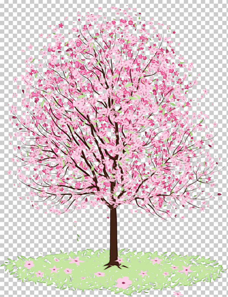 Cherry Blossom PNG, Clipart, Blossom, Branch, Cherry Blossom, Flower, Leaf Free PNG Download
