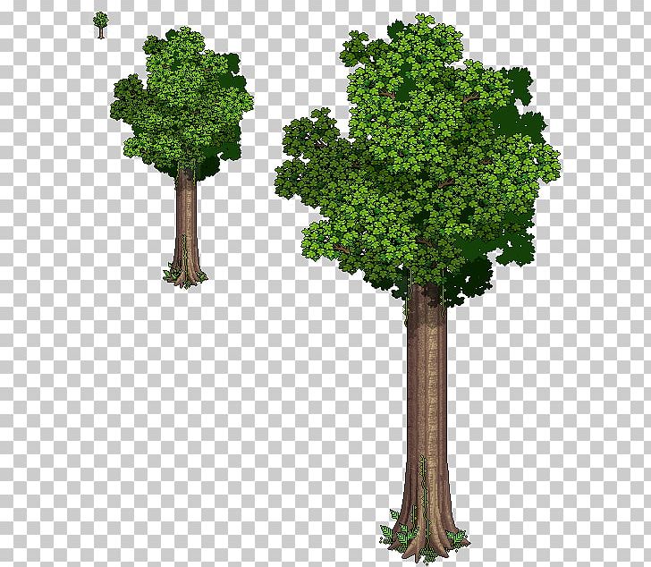 Habbo Wikia YouTube Avatar PNG, Clipart, Avatar, Biome, Branch, Computer Icons, Desktop Wallpaper Free PNG Download