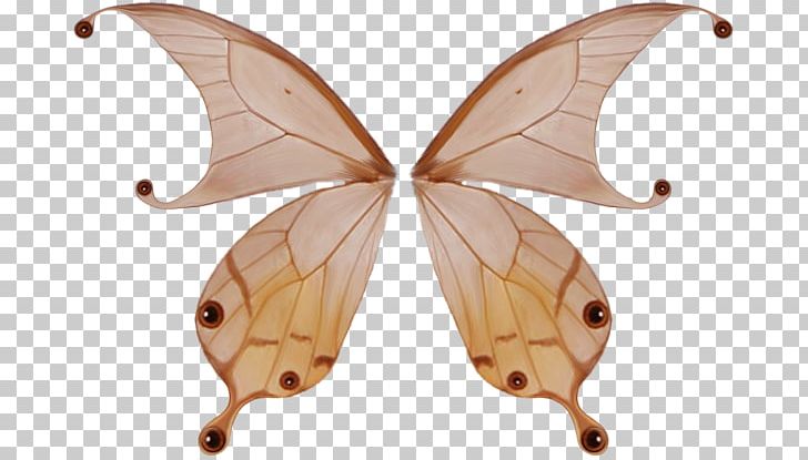 Butterfly Wing PNG, Clipart, Bombycidae, Butterfly, Christmas Decoration, Decoration, Decorations Free PNG Download