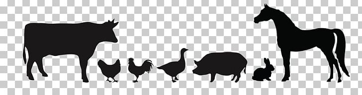 Chicken Duck Silhouette Cattle PNG, Clipart, Animals, Black, Cartoon, City Silhouette, Colt Free PNG Download