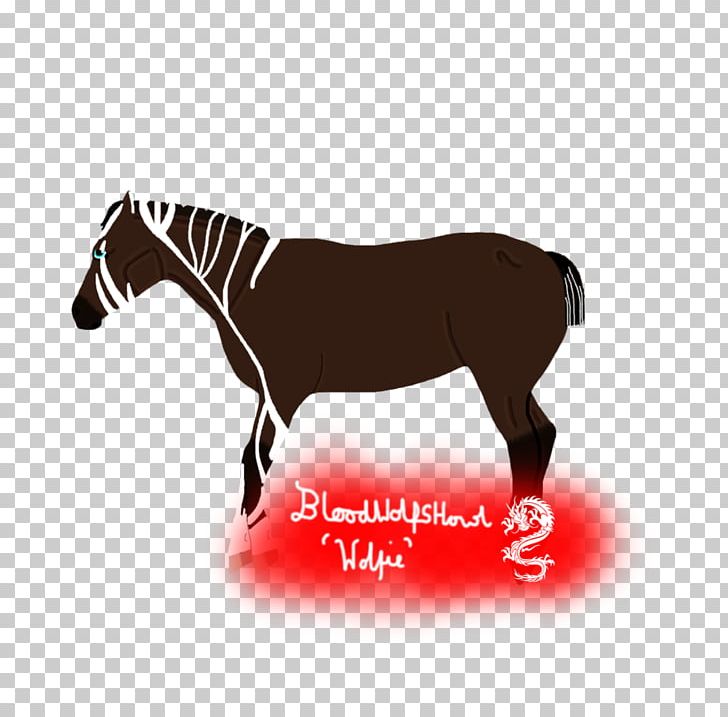 Mane Mustang Stallion Colt Mare PNG, Clipart, Blood Pool, Colt, Computer, Computer Wallpaper, Desktop Wallpaper Free PNG Download