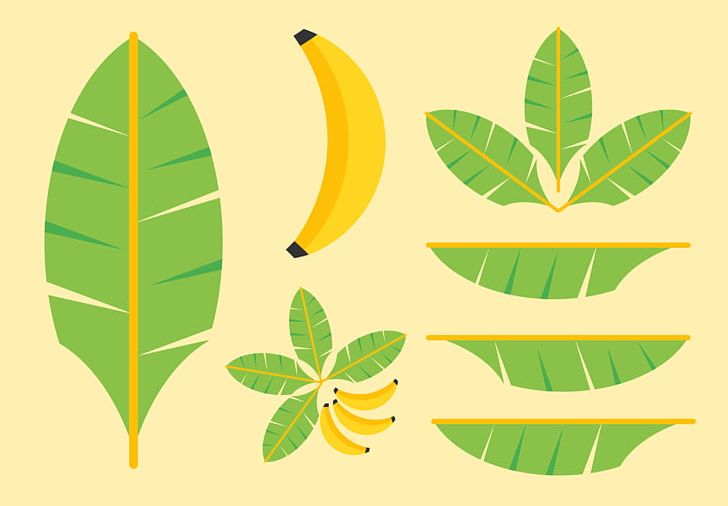 banana leaves vector logo