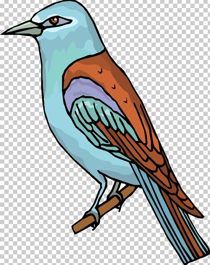 Bird PNG, Clipart, Art, Artwork, Beak, Bird, Blog Free PNG Download