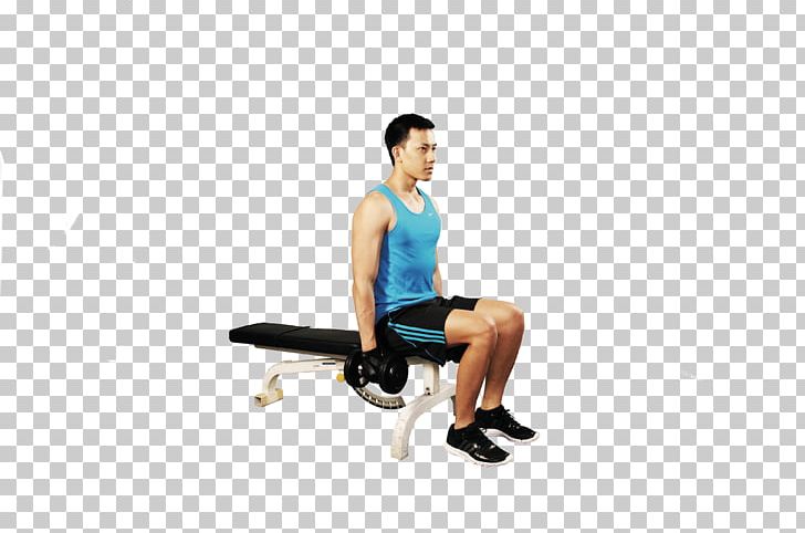 Physical Fitness Biceps Curl Dumbbell Lunge PNG, Clipart, Abdomen, Arm, Balance, Bench, Curl Free PNG Download