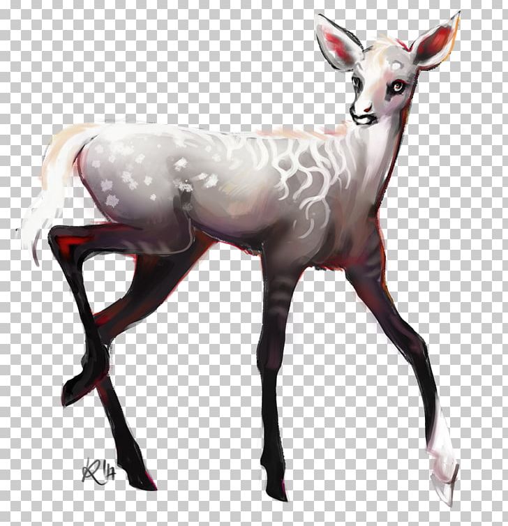 Reindeer Antelope Terrestrial Animal Wildlife PNG, Clipart, Animal, Antelope, Antler, Cartoon, Deer Free PNG Download