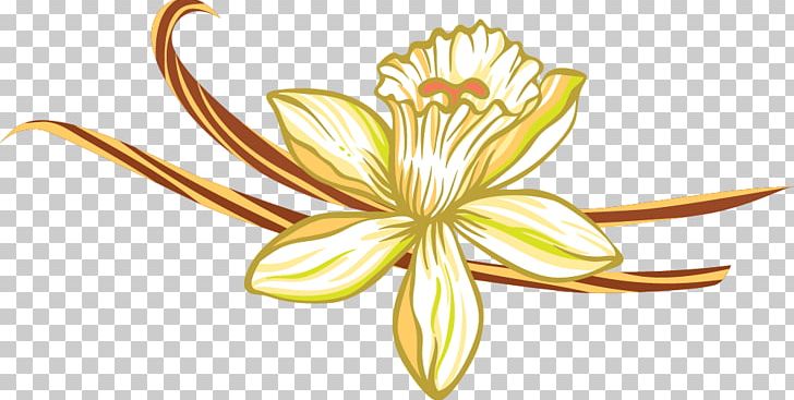 Floral Design Drawing PNG, Clipart, Cartoon, Cartoon Flowers, Christmas Decoration, Decorative Elements, Designer Free PNG Download