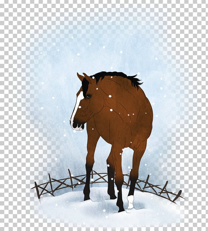 Mule Mustang Stallion Bridle Mare PNG, Clipart, Cattle, Cattle Like Mammal, Colt, Halter, Horn Free PNG Download