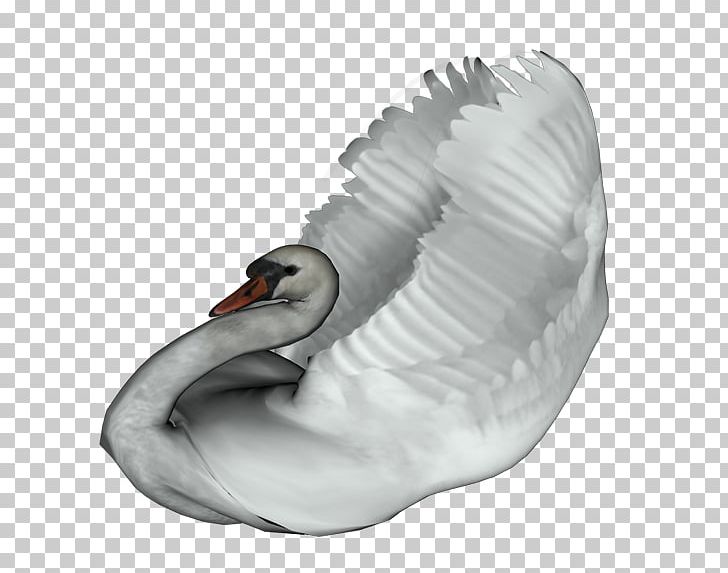 Cygnini Domestic Goose Bird Duck PNG, Clipart, Animal, Animals, Anser, Bird, Canadian Goose Free PNG Download